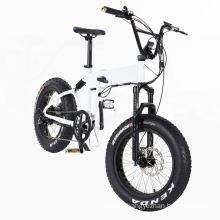 New Product Electric Bicycle 26 Inch Electric Fat Bike Made in China